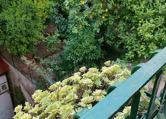 A casa di Freddie B&B Napoli